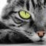 GreyHatCat